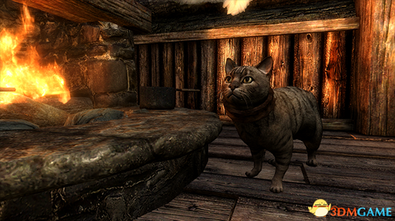 上古卷轴5 喵星人家猫狸花宠物生物MOD