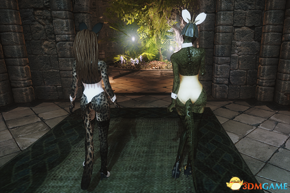 上古卷轴5 HDT CBBE万能兔女郎套装MOD