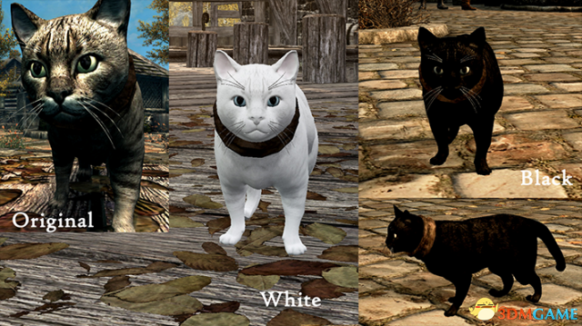 上古卷轴5 宠物家猫毛色发声包MOD