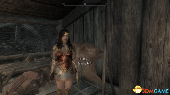 上古卷轴5 盖尔加朵版神奇女侠随从MOD