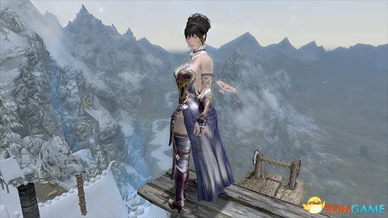 上古卷轴5 温柔治疗师大姐姐洛莲西雅随从MOD