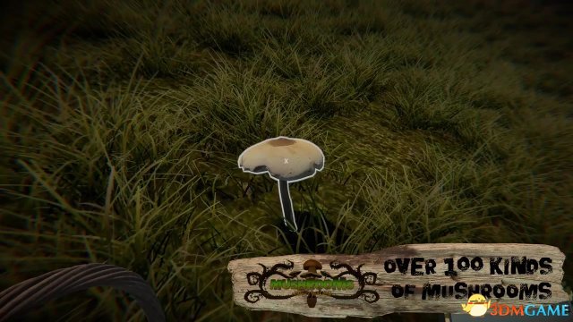 《蘑菇：森林漫步》一款在森林里采蘑菇的游戏