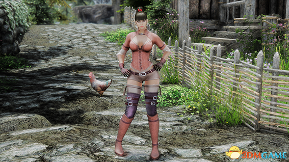 上古卷轴5 UNPB性感交叉系带紧身皮甲MOD