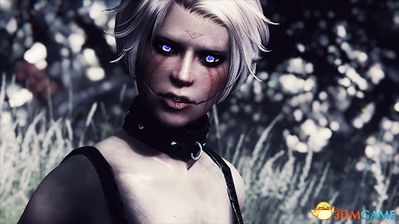 上古卷轴5 空心鬼娃娃娜佳随从MOD