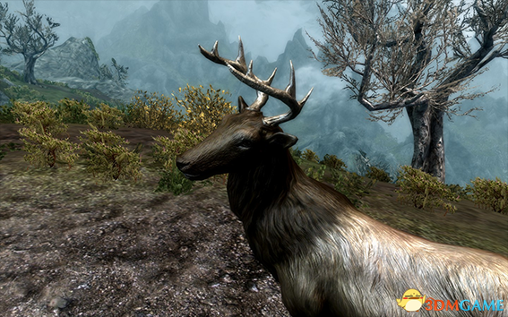 上古卷轴5 小鹿斯威夫特语音随从MOD