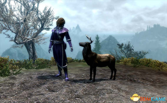 上古卷轴5 小鹿斯威夫特语音随从MOD