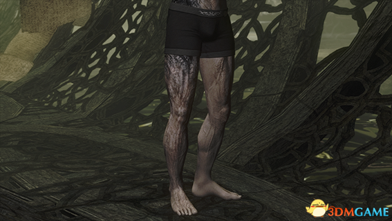 上古卷轴5 大BOSS初代龙裔半龙米拉克随从MOD