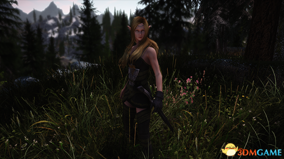 上古卷轴5：天际重制版 紧身布短裙精灵护甲MOD