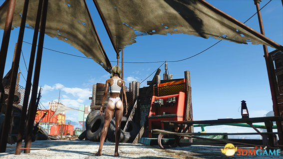 辐射4 身体衣服产生污渍MOD