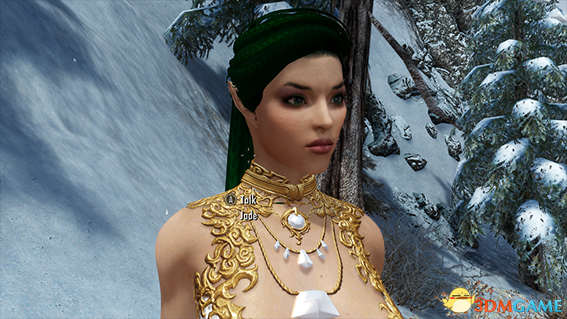 上古卷轴5 战斗刺客杰德随从MOD