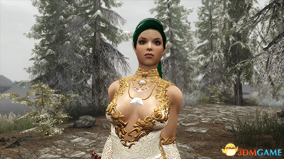 上古卷轴5 战斗刺客杰德随从MOD