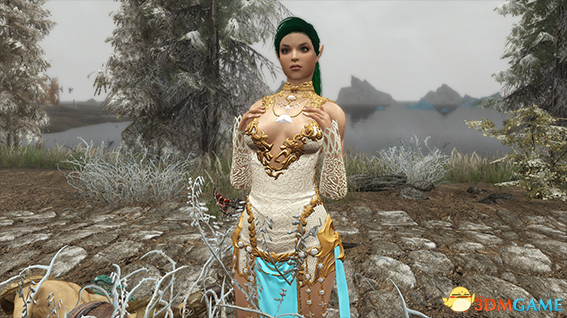 上古卷轴5 战斗刺客杰德随从MOD