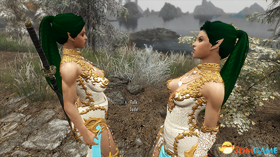 上古卷轴5 战斗刺客杰德随从MOD