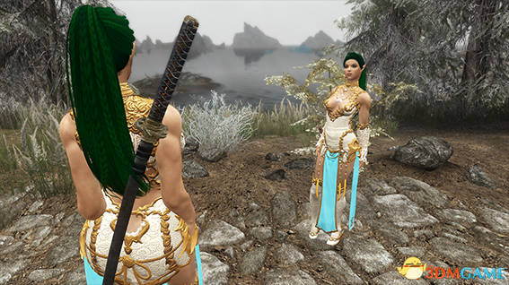 上古卷轴5 战斗刺客杰德随从MOD