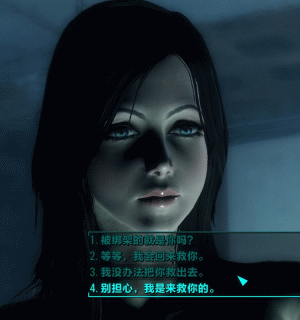 辐射4 低配邓紫棋人物捏脸存档