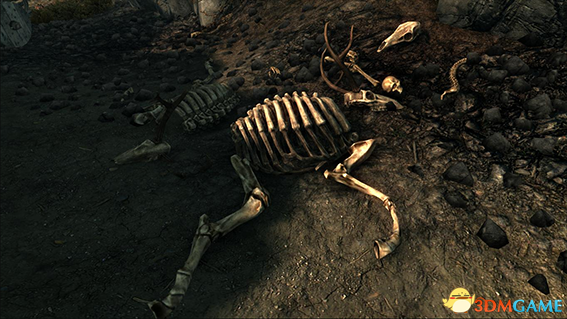 上古卷轴5 更真实多样化的动物骨头MOD