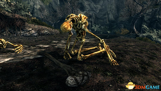 上古卷轴5 更真实多样化的动物骨头MOD