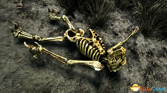 上古卷轴5 更真实多样化的动物骨头MOD