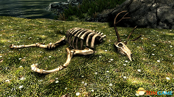 上古卷轴5 更真实多样化的动物骨头MOD