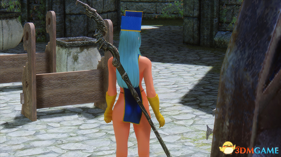 上古卷轴5 教团牧师蕾拉独立随从MOD