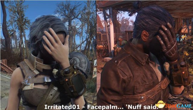 辐射4 空闲时候主角随机动作MOD