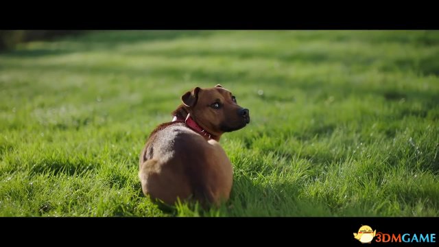 育碧《孤岛惊魂5》新实景宣传视频展示乖乖狗狗