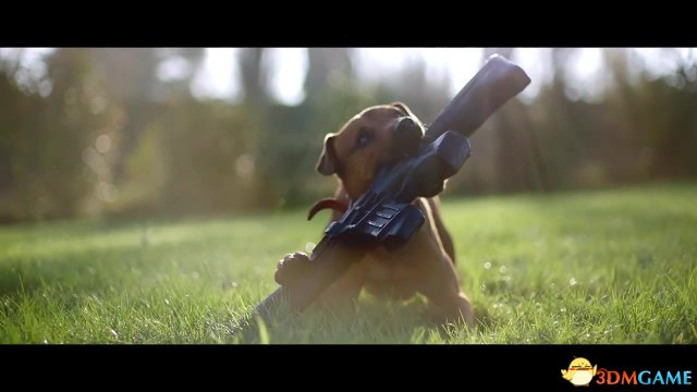 育碧《孤岛惊魂5》新实景宣传视频展示乖乖狗狗