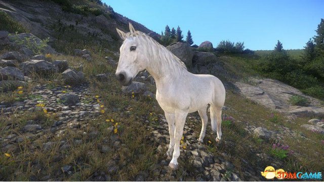 天国：拯救 更漂亮的马匹材质modv1.3