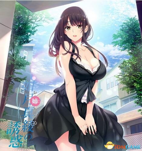 如月真綾の誘惑 全CG存档