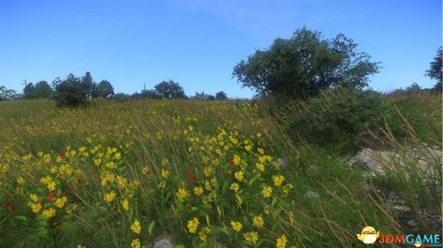 天国：拯救 简单现实的Reshade光影modv1.4