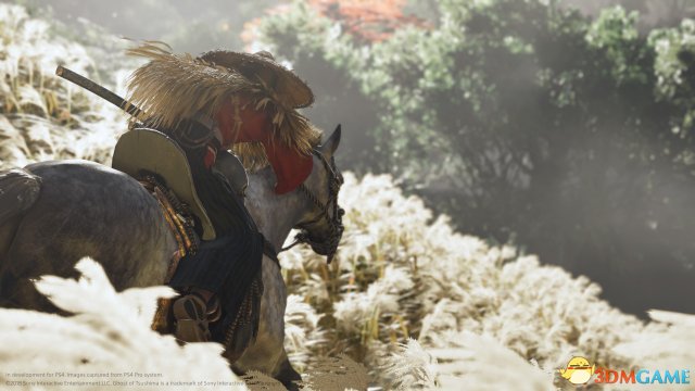 E3 2018：《对马岛之鬼》截图 日本武士对抗蒙古