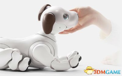 干净乖巧不掉毛！索尼将扩大aibo机器狗生产规模