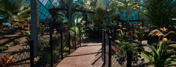 《Greenhouse》游戏特色内容介绍