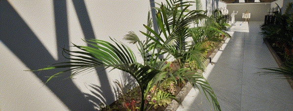 《Greenhouse》游戏特色内容介绍