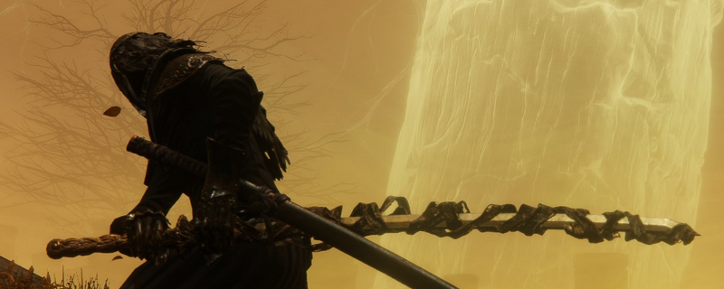 《艾尔登法环：黑夜君临》执行者角色完全解析分享