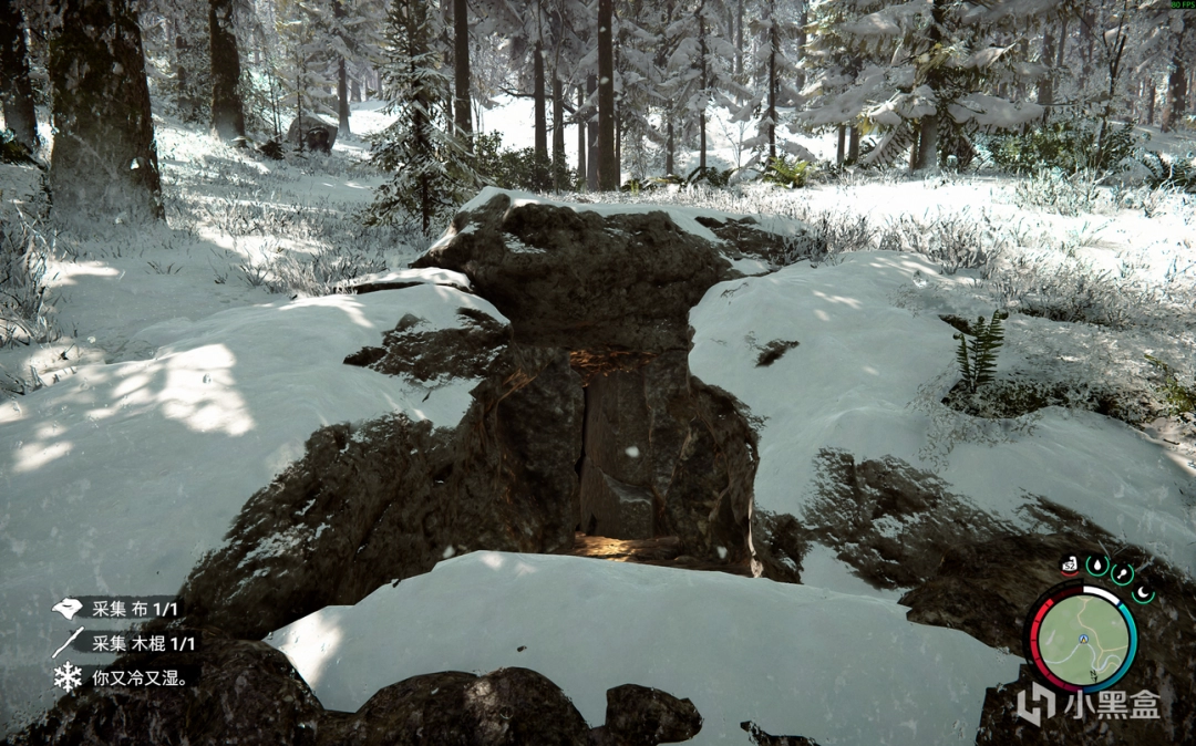 《森林之子》新手必备小技巧分享