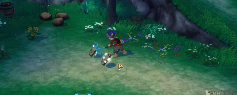 《牧场物语 来吧！风之繁华集市》前期发展攻略分享