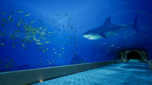 《8月32日的水族馆》游戏库