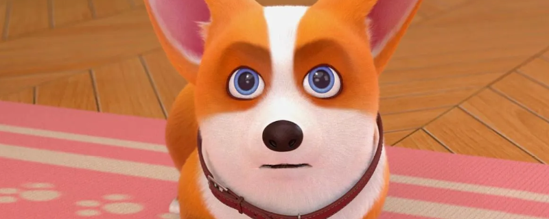 《我的小柯基》收集类成就攻略分享