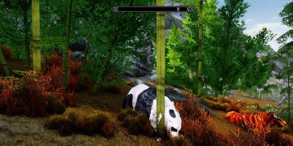 《上古卷轴5：天际》熊猫中国虎MOD