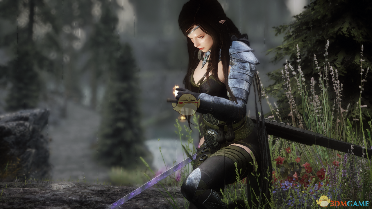 《上古卷轴5：天际》高等精灵装甲和武器MOD