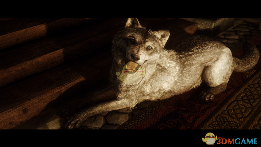 《上古卷轴5：天际》新狼伴侣MOD