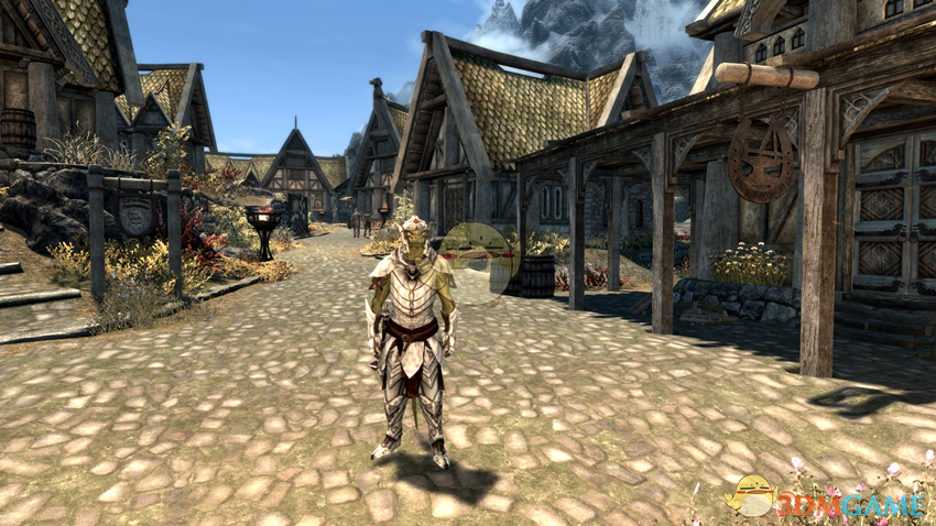 《上古卷轴5：天际重制版》远古的法尔默盔甲MOD