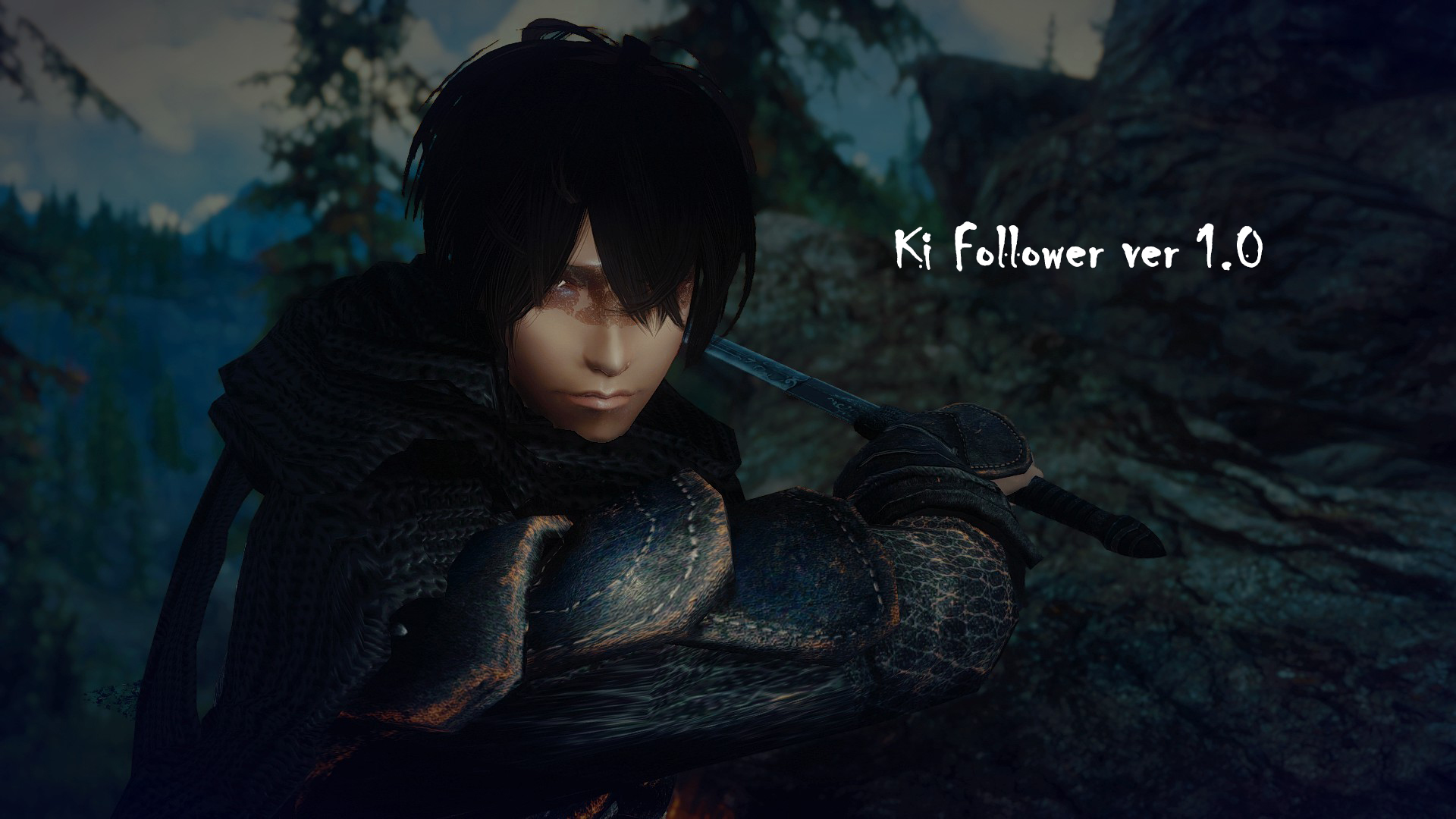 《上古卷轴5：天际》独立随从“辉”MOD