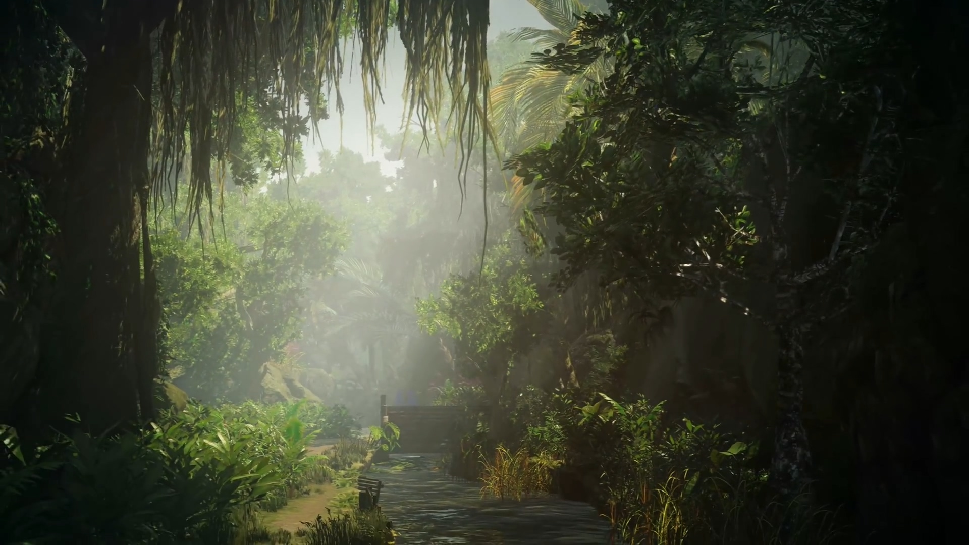 《杀手2》全新宣传片 南美洲热带雨林登场