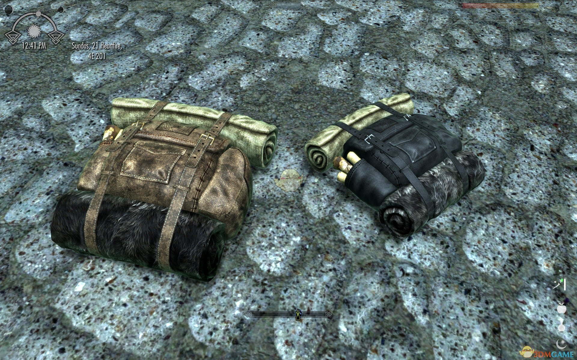 《上古卷轴5：天际》皮革旅行包MOD