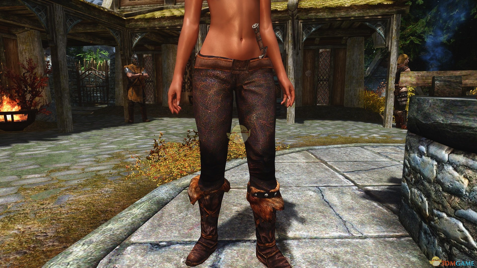 《上古卷轴5：天际》可隐藏的皮革分离皮革MOD