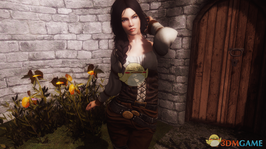 《上古卷轴5：天际》Eowyn美丽独立女性随从MOD