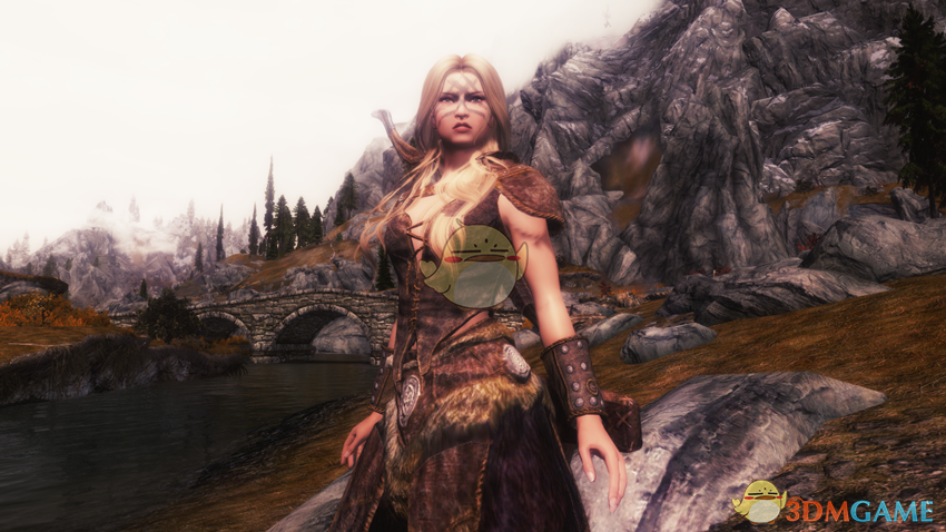 《上古卷轴5：天际》Ayleen女性性感独立随从MOD