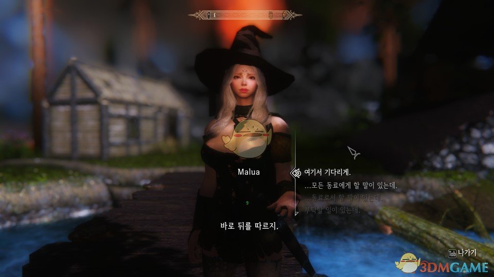 《上古卷轴5：天际》一个韩网妹子随从MOD